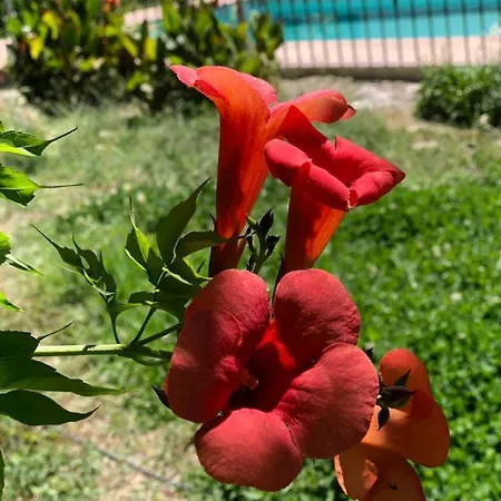 El Edén De