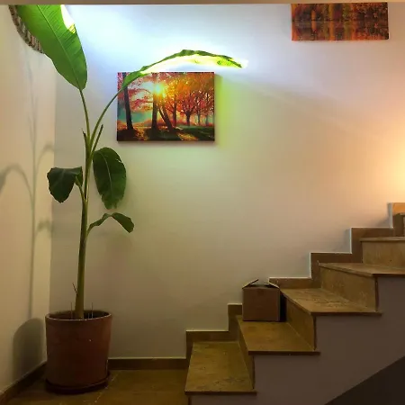 El Eden De *